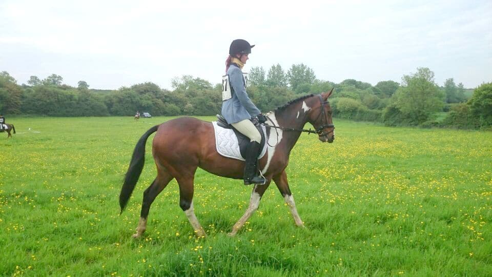 Dressage on Dizzy