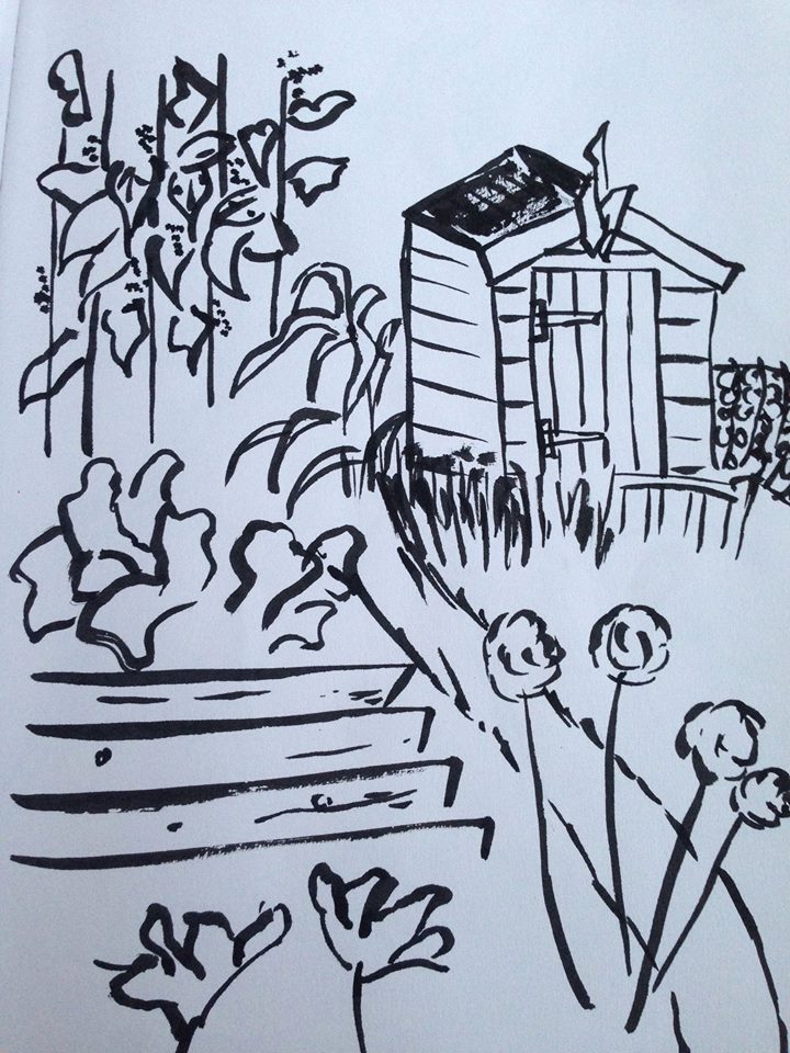 allotment sketch with ink