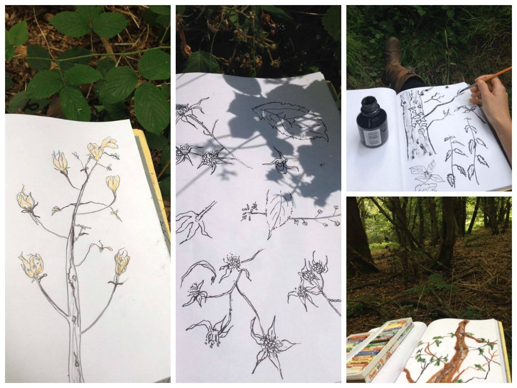drawing in the woods