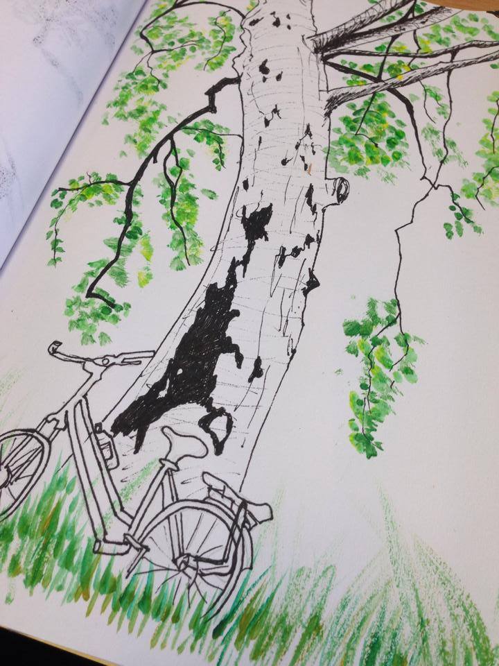 oak tree