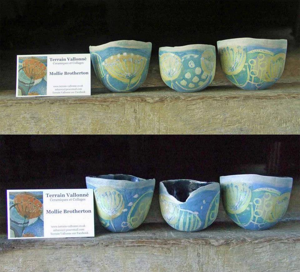 mollie brotherton bowls