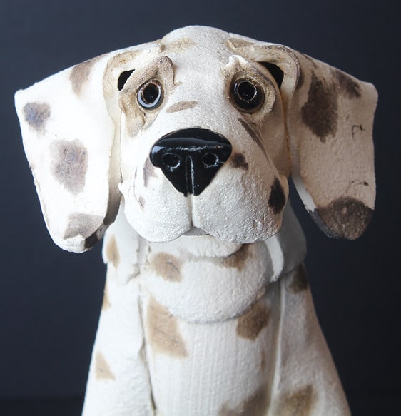 virginia dowe-edwards hound