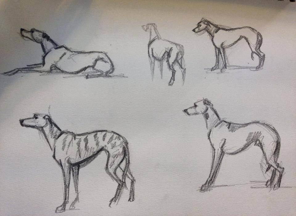 virginia dowe-edwards sketching